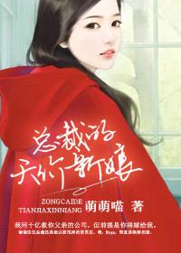 总裁的天价前妻完整版