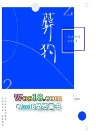 葬狗白天还是晚上
